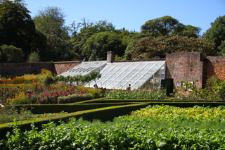 Heligan Flower Garden